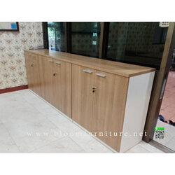 ตู้เก็บเอกสารภายในแบ่ง 2 ชั้น ขนาด 80x40x89 ซม. (งานผลิตปรับขนาด และสีได้)