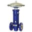 ARI FLOWSERVE VALVE