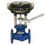 ARI FLOWSERVE VALVE