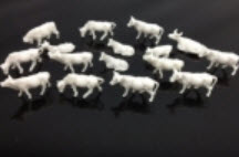 วัว สีขาว คละแบบ (สเกล 1:87) / ชุด 100 ตัว