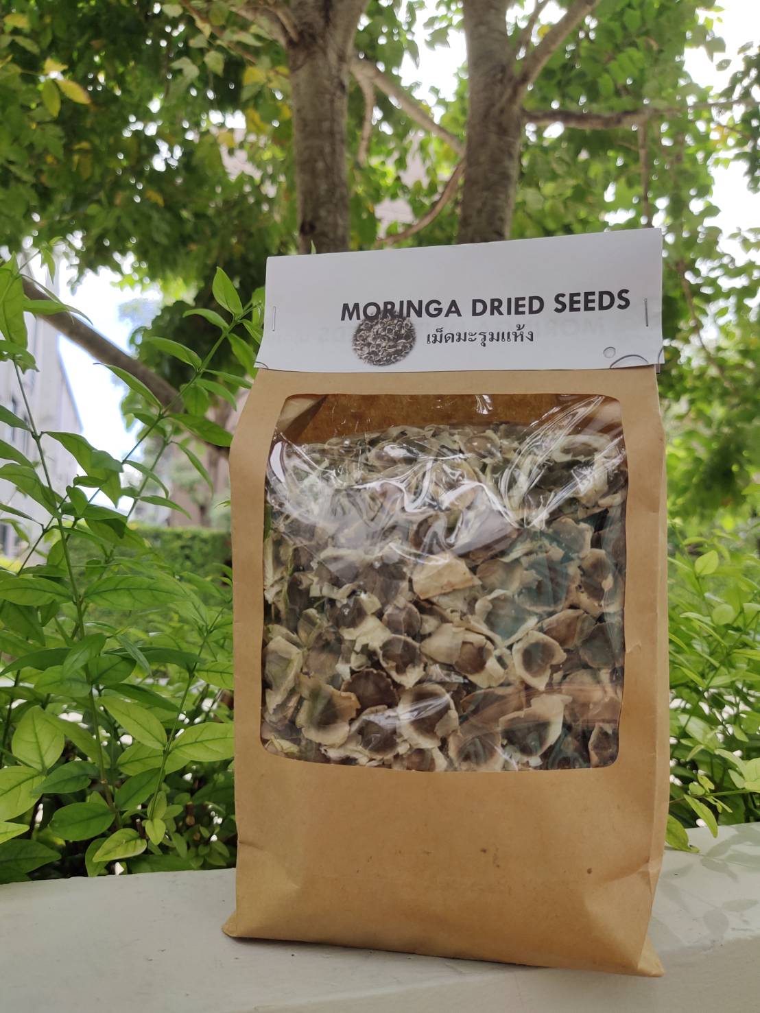 Moringa เม็ดมะรุมตากแห้ง