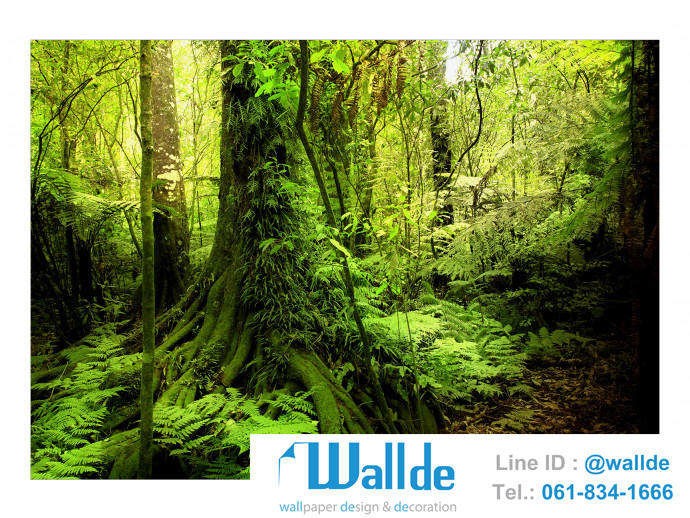 สั่งพิมพ์วอลเปเปอร์ ลายป่าไม้ 0001