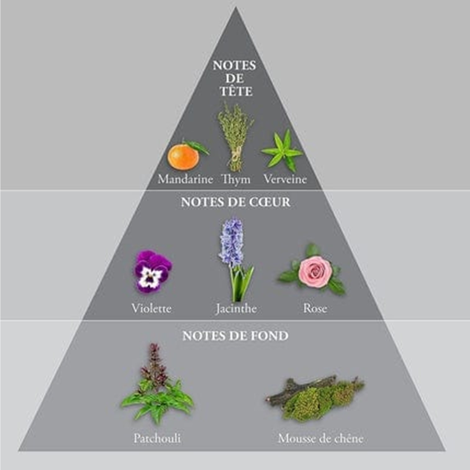 Whisky Silver Eau de Toilette For Men Elegant Special Gift Set เซ็ตน้ำหอมและผลิตภัณฑ์ดูแลผิวกายกลิ่นหอมสุดพิเศษสำหรับผู้ชายจากต่างประเทศของแท้พร้อมส่ง