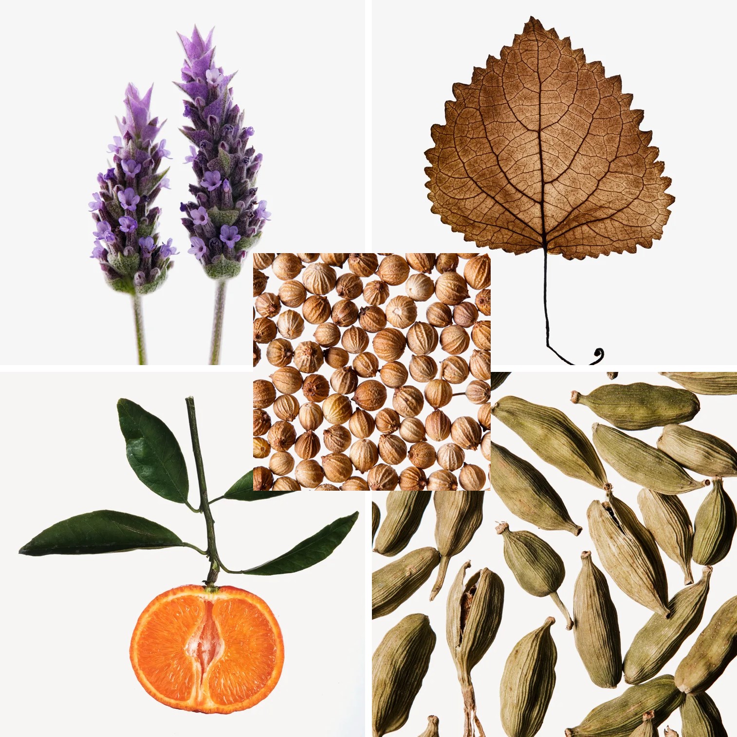 ZIRH Classic Eau de Toilette Spray 125ml น้ำหอมผู้ชายกลิ่นหอมสุดพิเศษรับประกันลิขสิทธิ์ของแท้นำเข้าจากออสเตรเลียพร้อมส่ง