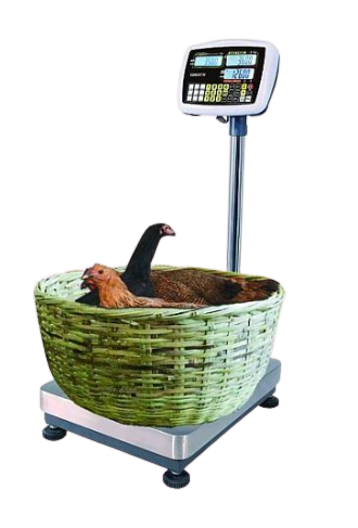 เครื่องชั่งคำนวนราคา (Pricing Floor Scale) Tiger TPI-01 Series