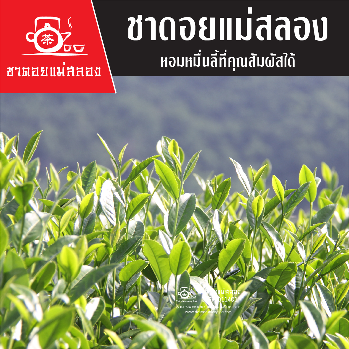 ชาอู่หลงก้านอ่อน เบอร์ 17