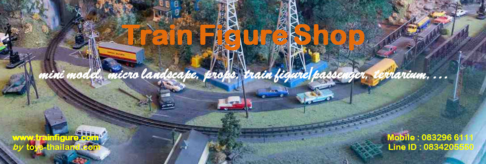 train figure