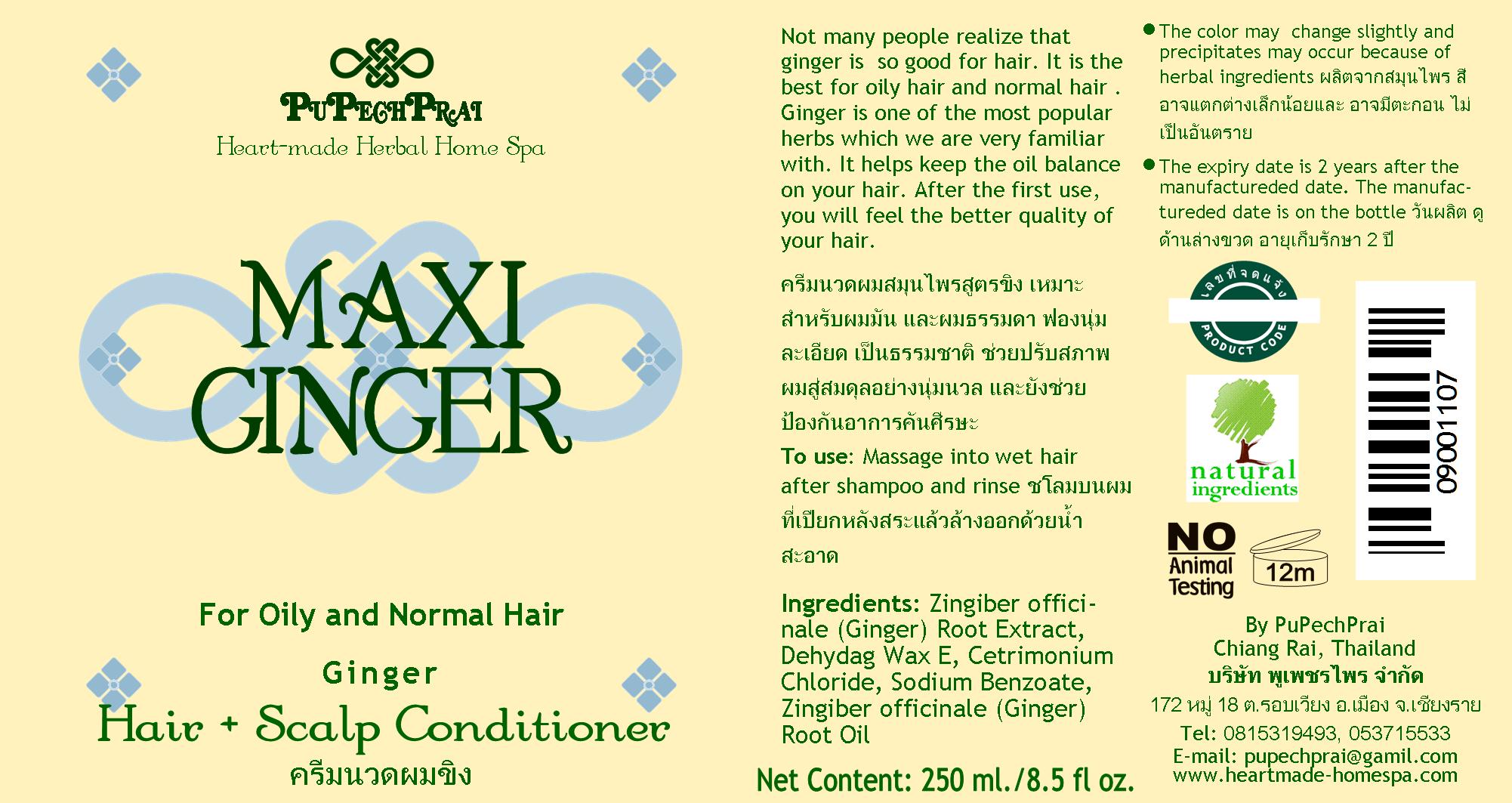 MAXI GINGER แชมพูขิง Ginger Shampoo