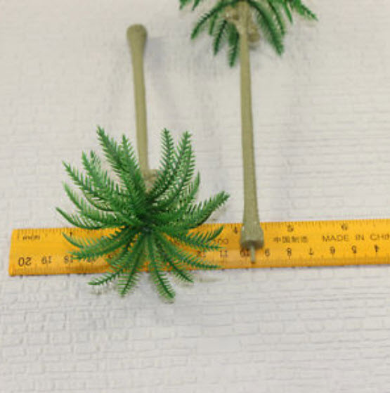 ต้นมะพร้าว สูง 19 ซ.ม. (7.5 นิ้ว) / 5 ต้น