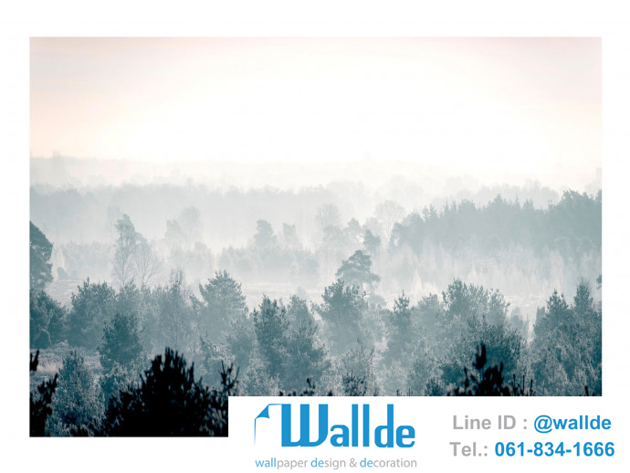 สั่งพิมพ์วอลเปเปอร์ ลายป่าไม้ 0006