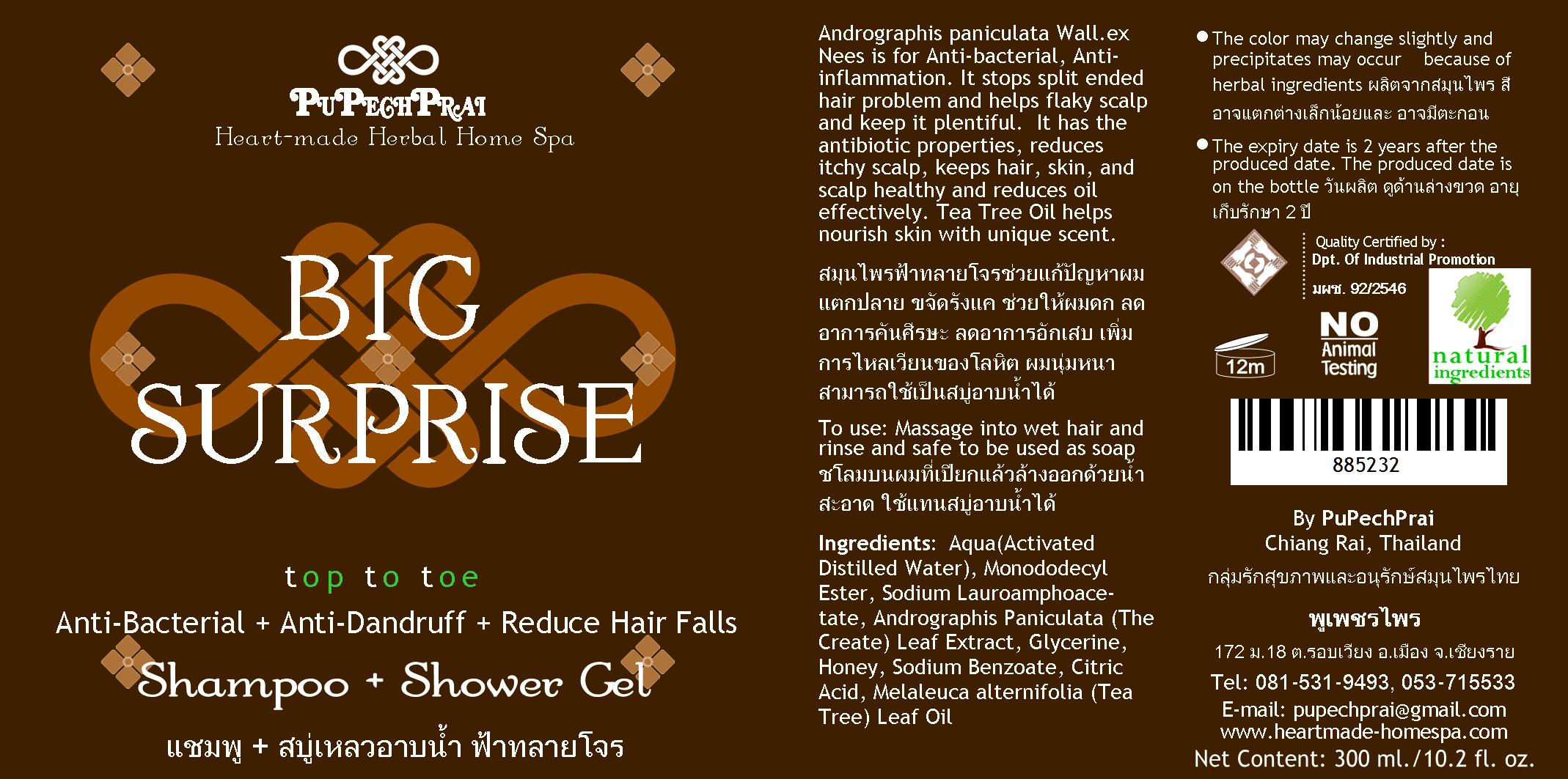 BIG SURPRISE สบู่+แชมพู ฟ้าทลายโจร แอนตี้แบคทีเรีย Anti-Bacterial Shampoo & Shower Gel