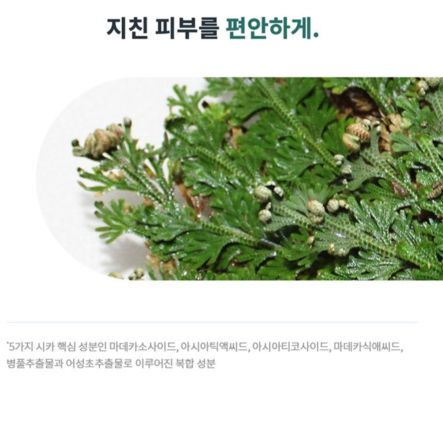 Dr.G R.E.D Blemish Balancing Essence Fluid 150ml ผลิตภัณฑ์บำรุงผิวหน้าสูตรสารสกัดใบบัวบกสินค้านำเข้าจากเกาหลีของแท้พร้อมส่ง