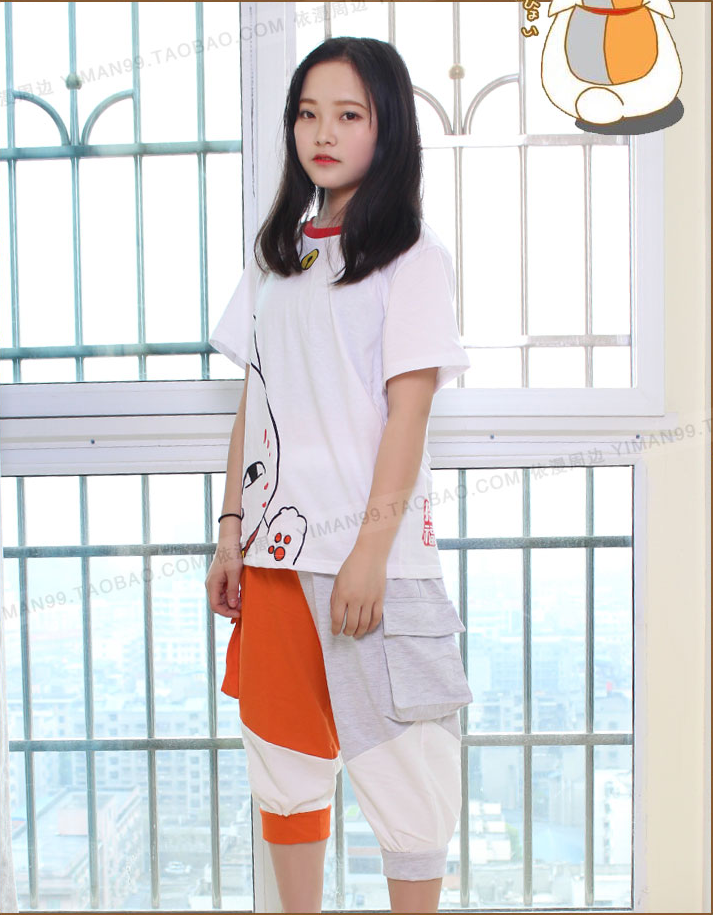 SET ชุด Natsume yuujinchou นัตซึเมะกับบันทึกพิศวง