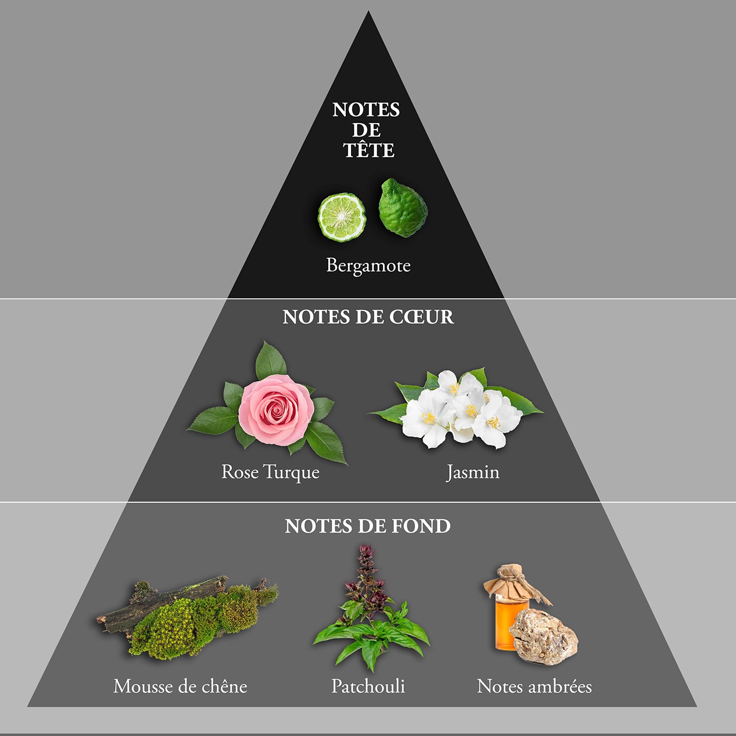 EVAFLORPARIS Whisky Sugar Skull Eau De Toilette 100 ml Perfume Spray Men น้ำหอมลิขสิทธิ์แท้กลิ่นใหม่ล่าสุดรุ่นพิเศษจากวิสกี้สินค้านำเข้าจากต่างประเทศพร้อมส่ง