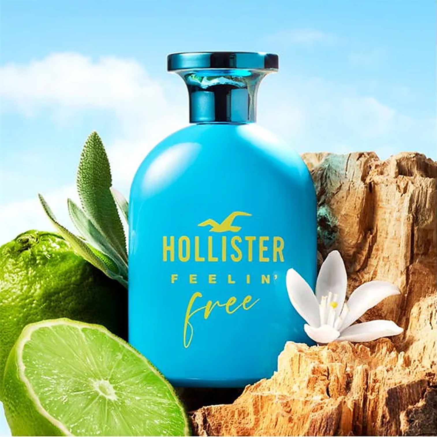 Hollister Feelin’ Free For Him Eau de Toilette 100ml น้ำหอมผู้ชายกลิ่นหอมใหม่สุดพิเศษรับประกันลิขสิทธิ์แท้นำเข้าจากออสเตรเลียพร้อมส่ง