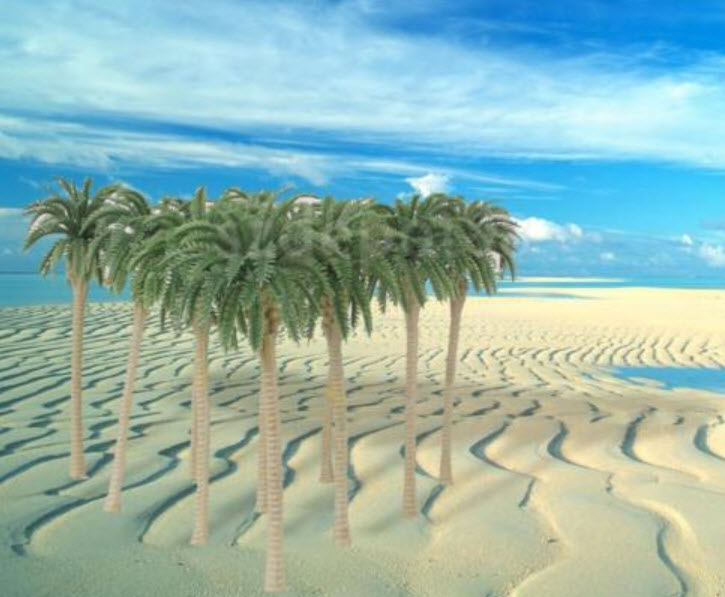 ต้นมะพร้าว (สเกล 1:150) สูง 7 ซ.ม. / 10 ต้น