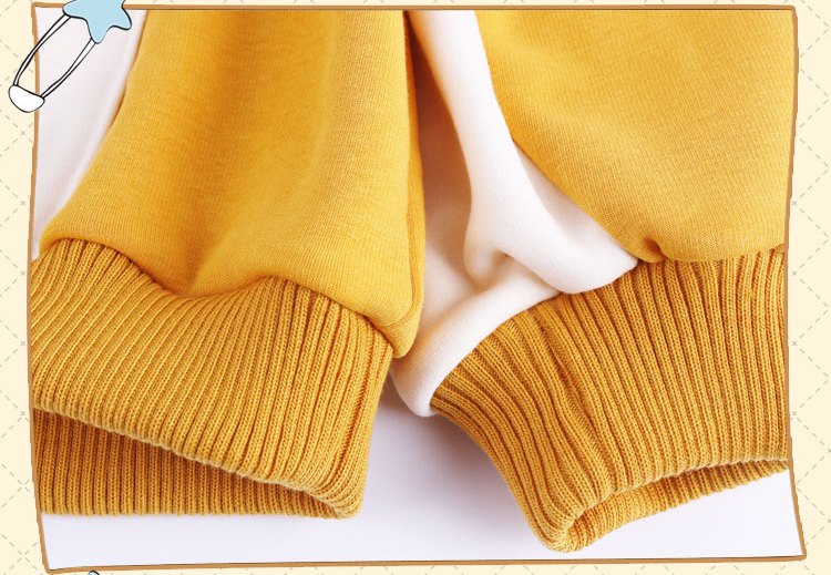 เสื้อกันหนาว Shiba Inu