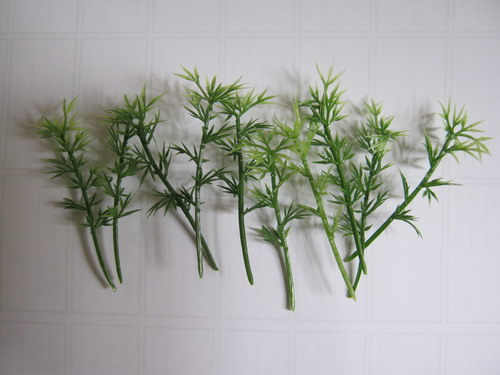 ต้นไผ่ สูง 6 ซ.ม. / 10 ต้น