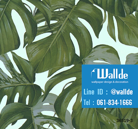 วอลเปเปอร์ลายใบไม้ สไตล์ทรอปปิคอล 0005