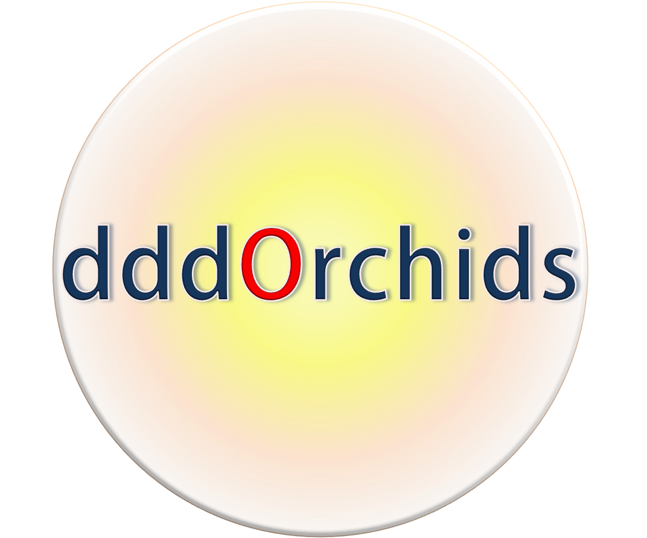 dddOrchids เมล็ดพันธุ์หลากหลายจากป้าน้อย