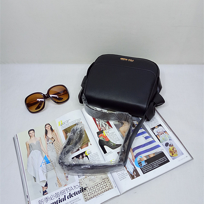 Steve Madden Bow Bag