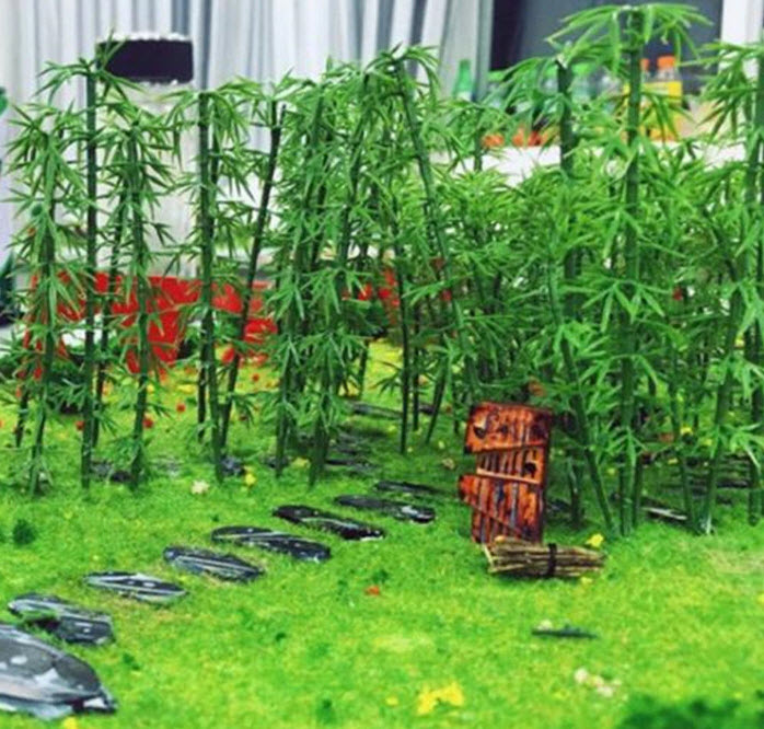 ต้นไผ่ สูง 6 ซ.ม. / 10 ต้น