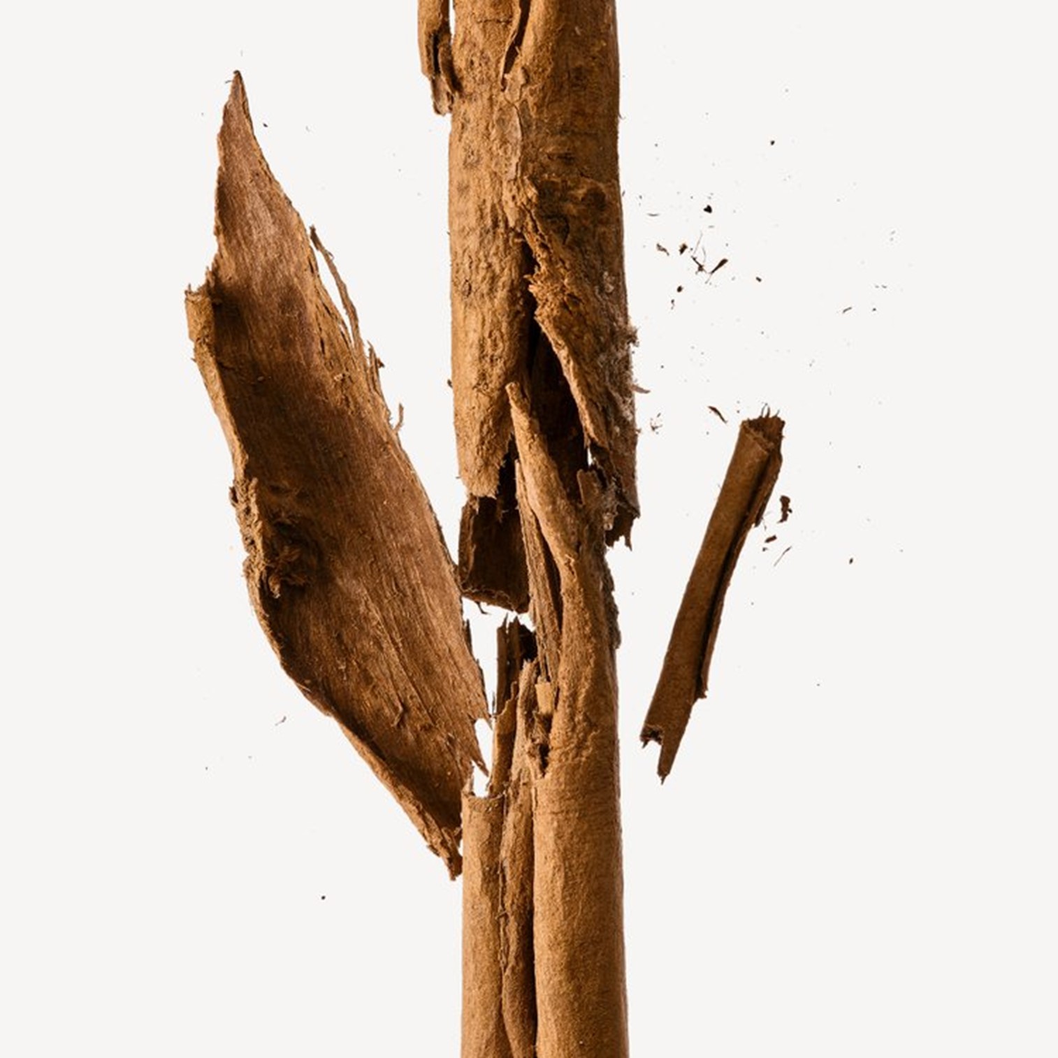 Jacques Bogart Silver Scent Infinite Silver Eau de Toilette 100ml น้ำหอมผู้ชายกลิ่นสดชื่นรุ่นพิเศษลิขสิทธิ์แท้นำเข้าจากออสเตรเลียของแท้พร้อมส่ง