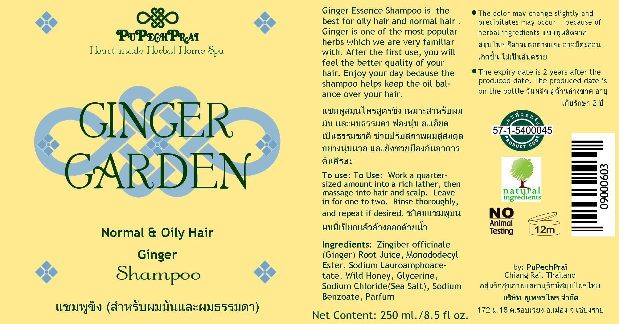 GINGER GARDEN แชมพูขิงสำหรับผมมัน Ginger Shampoo for Oily Hair