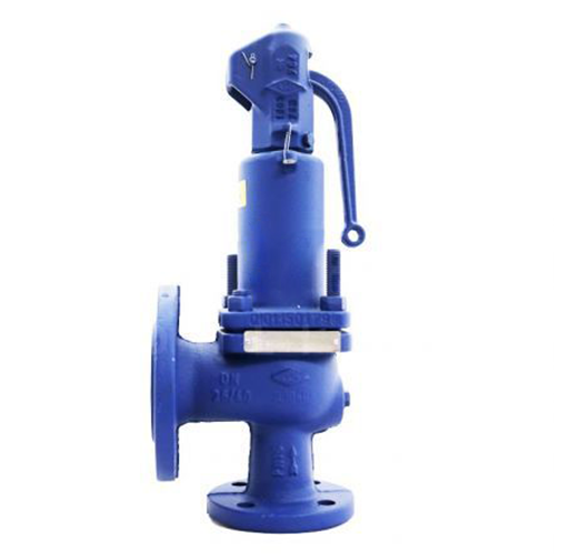 ARI FLOWSERVE VALVE