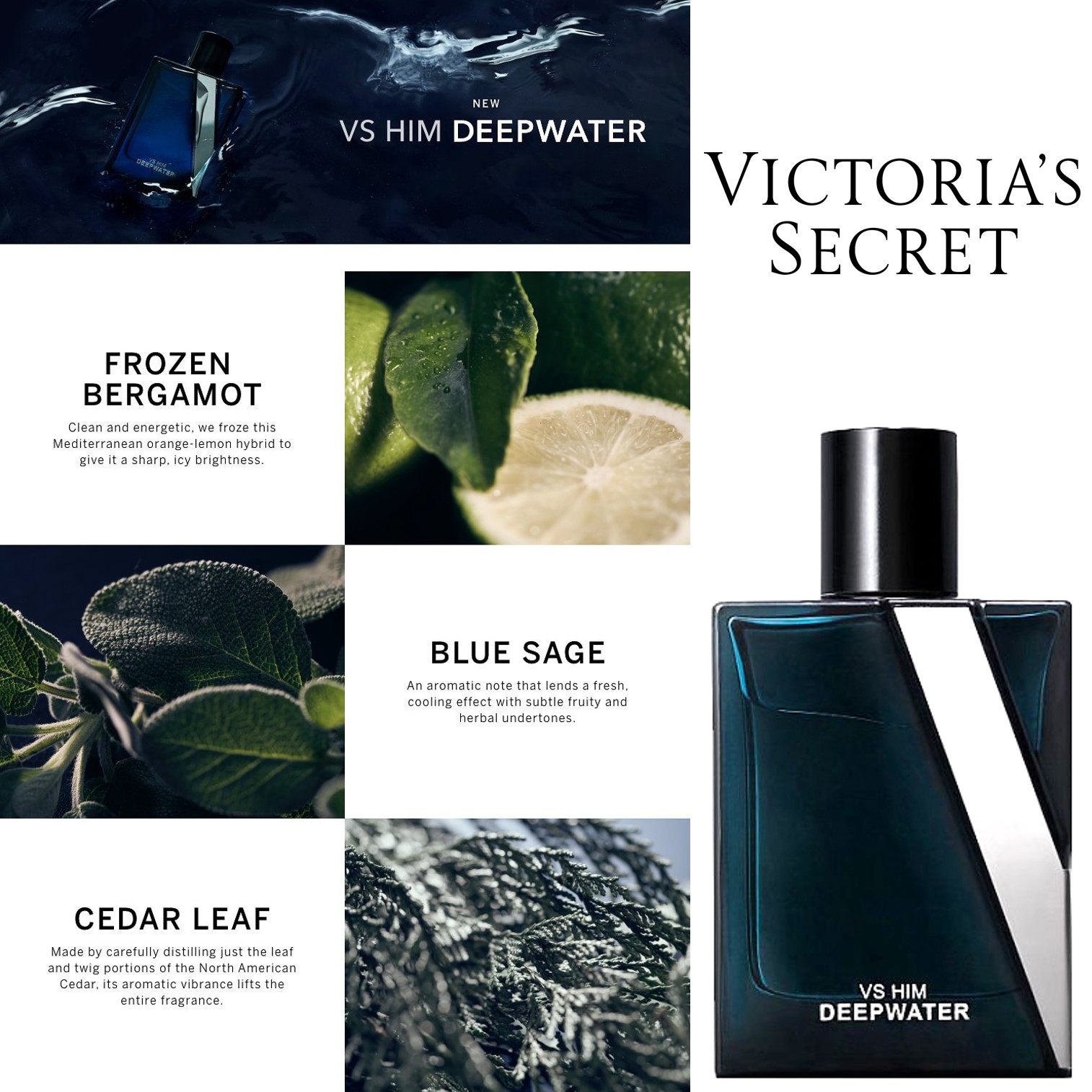 Victoria’s Secret VS HIM Deepwater Fragrance Eau De Parfum 100ml น้ำหอมผู้ชายกลิ่นใหม่ล่าสุดลิขสิทธิ์แท้จากช็อปวิคตอเรียซีเคร็ท