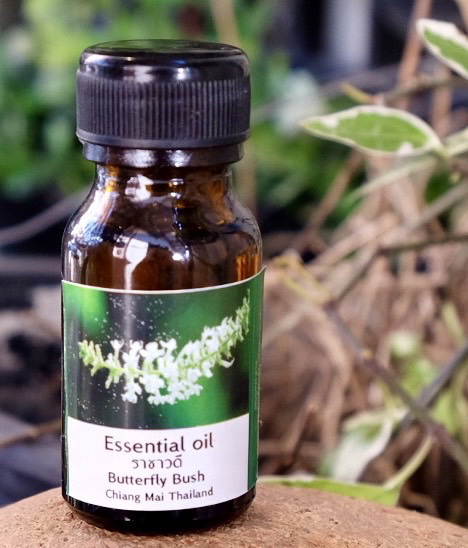 น้ำมันหอมระเหยราชาวดี Butterfly Bush Essential Oil