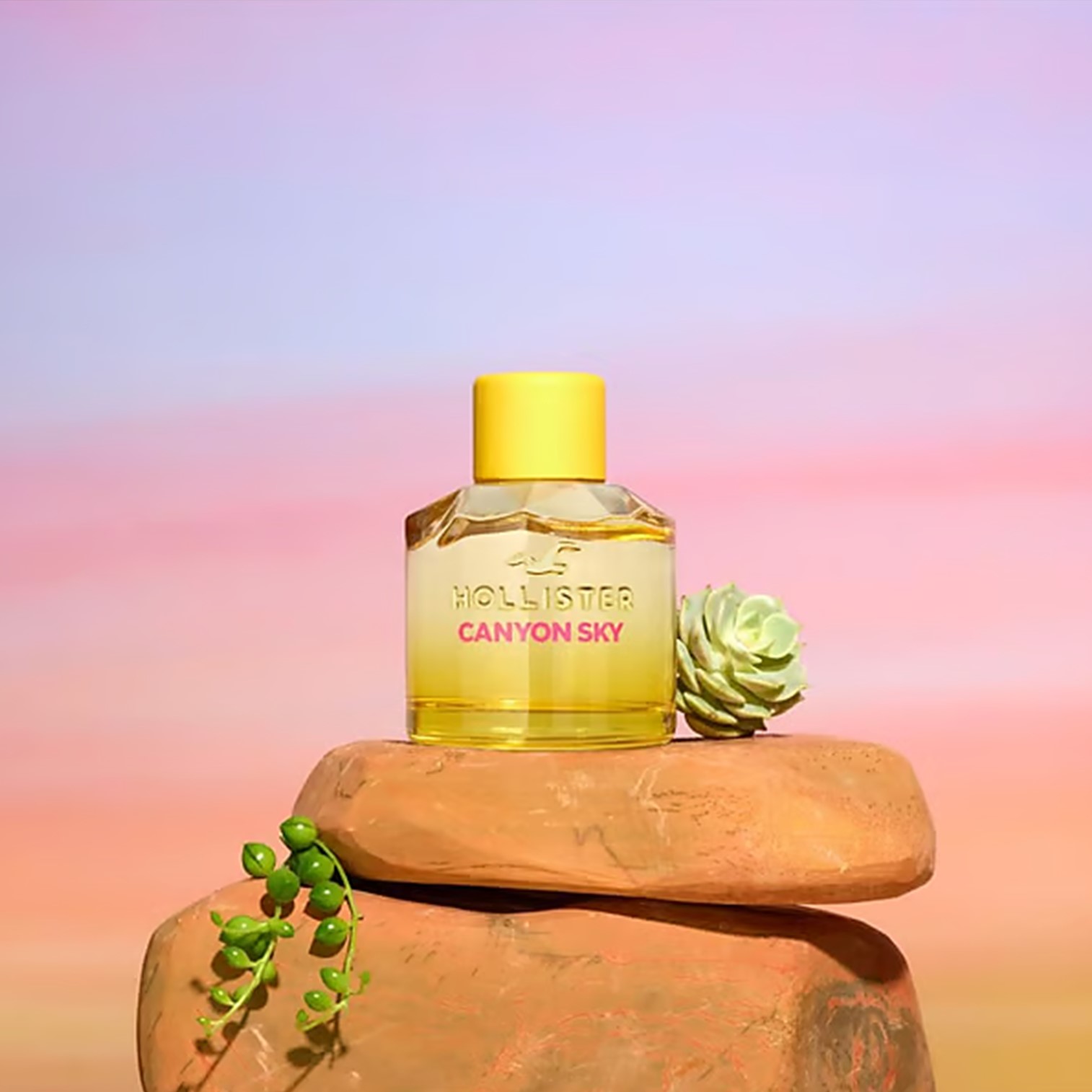 Hollister Canyon Sky For Her Eau de Parfum 100ml น้ำหอมสำหรับผู้หญิงกลิ่นหอมสุดพิเศษสินค้ารับประกันลิขสิทธิ์แท้นำเข้าจากออสเตรเลียพร้อมส่ง