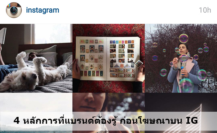 ig sme supply4