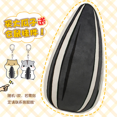 เสื้อคลุมแฮมสเตอร์ + หมอนเมล็ดทานตะวันสุดน่ารัก