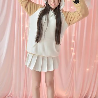 เสื้อกันหนาว ลาย ชิบะอินุ