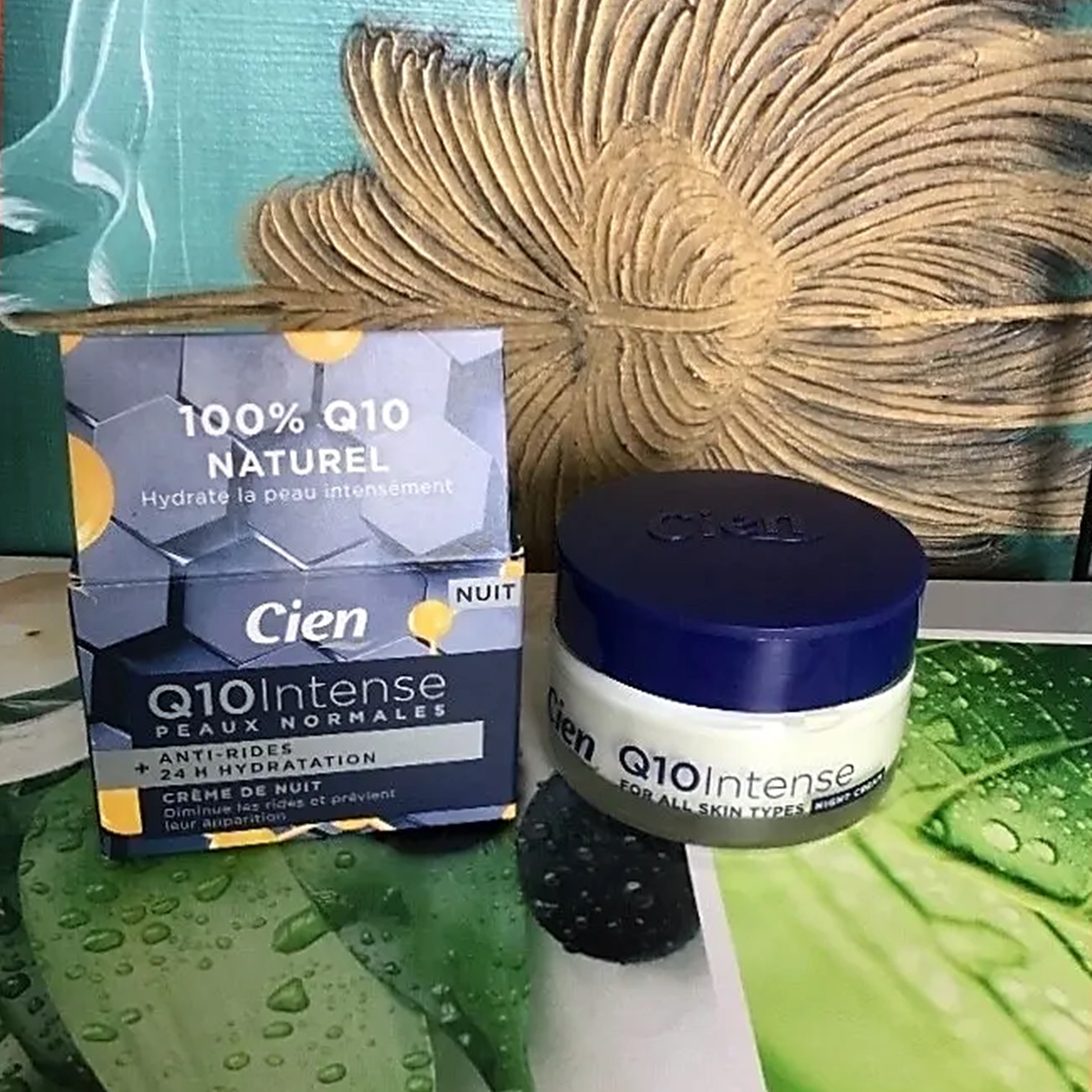 Cien Q10 Intense for normal skin Anti-wrinkle Hydration night cream 50ml ครีมบำรุงผิวหน้าตอนกลางคืนสูตรพิเศษจากเยอรมันนีสินค้านำเข้าของแท้พร้อมส่ง