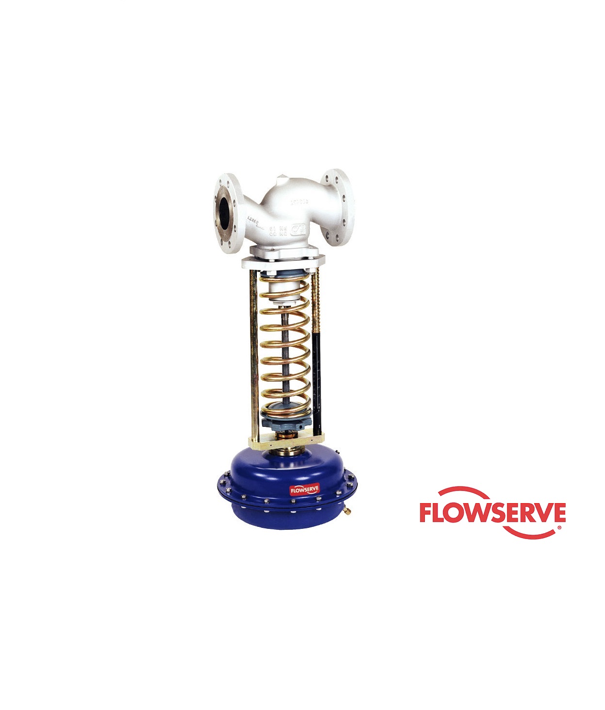 ARI & FLOWSERVE VALVE