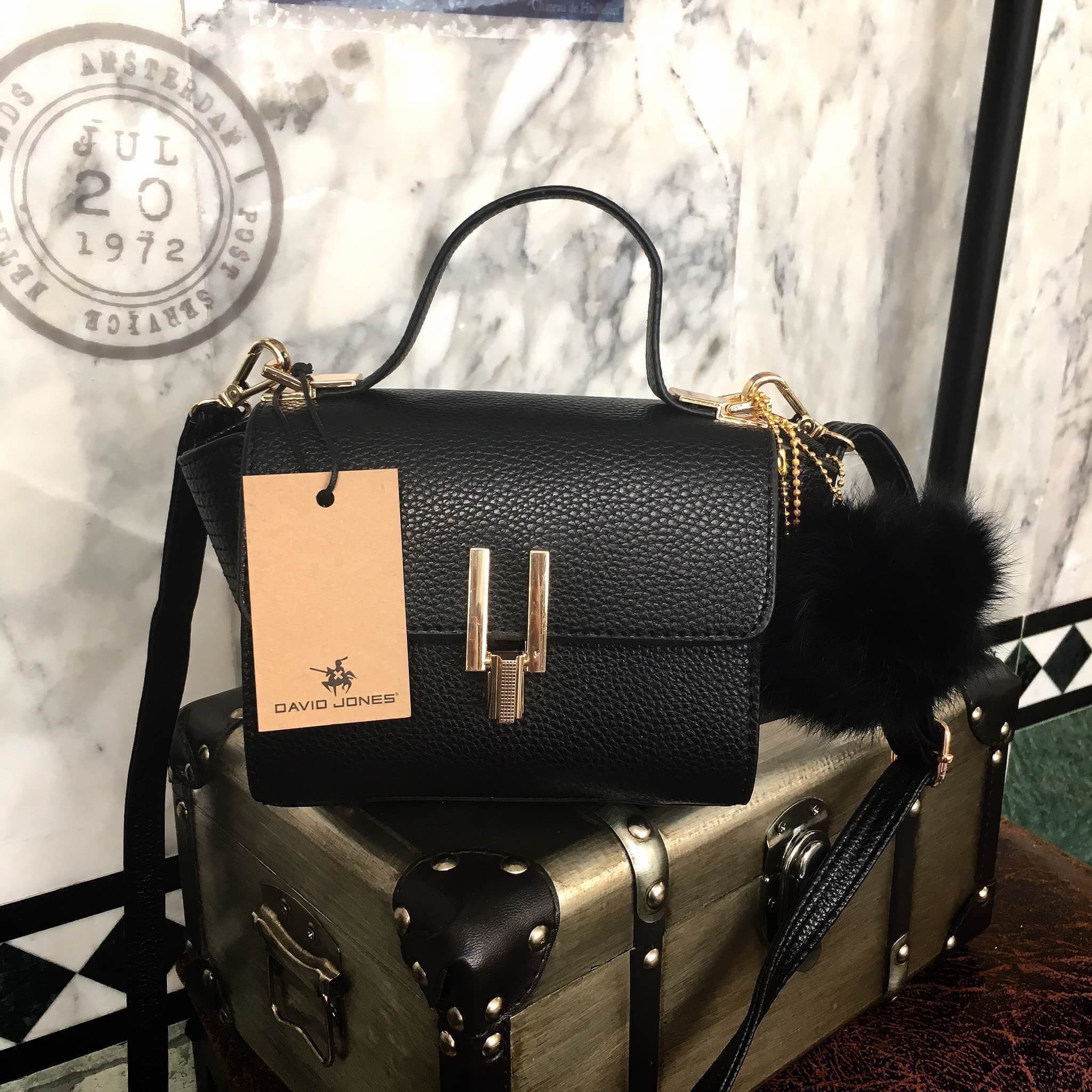David jones Bag