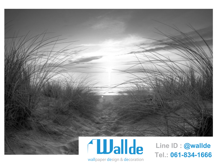 สั่งพิมพ์วอลเปเปอร์ วิวทะเล 0010