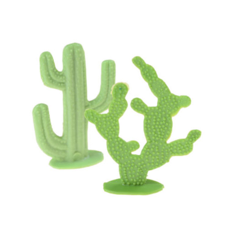 แคคตัส 2 แบบ ขนาด 6 - 7 ซ.ม. / แพ็คคู่