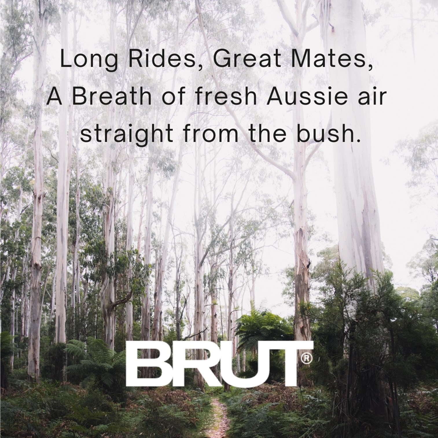 Brut Endurance 24hr Ultra Dry Anti-Perspirant Deodorant Spray 150g สเปรย์ระงับกลิ่นกายกลิ่นหอมพิเศษสำหรับผู้ชายสินค้านำเข้าจากต่างประเทศของแท้พร้อมส่ง