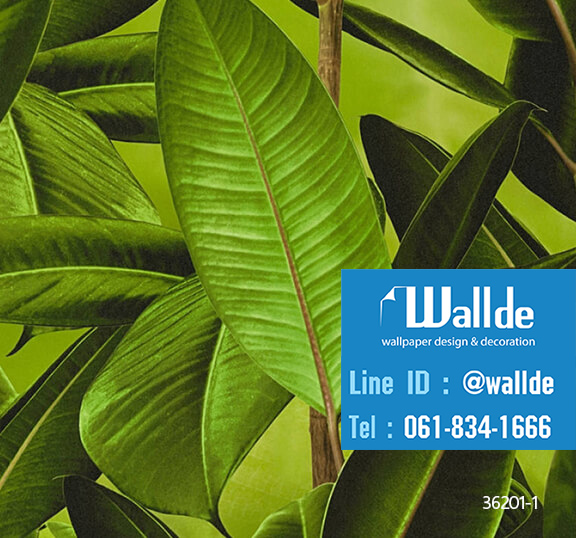 วอลเปเปอร์ลายใบไม้ สไตล์ทรอปปิคอล (36201-1)