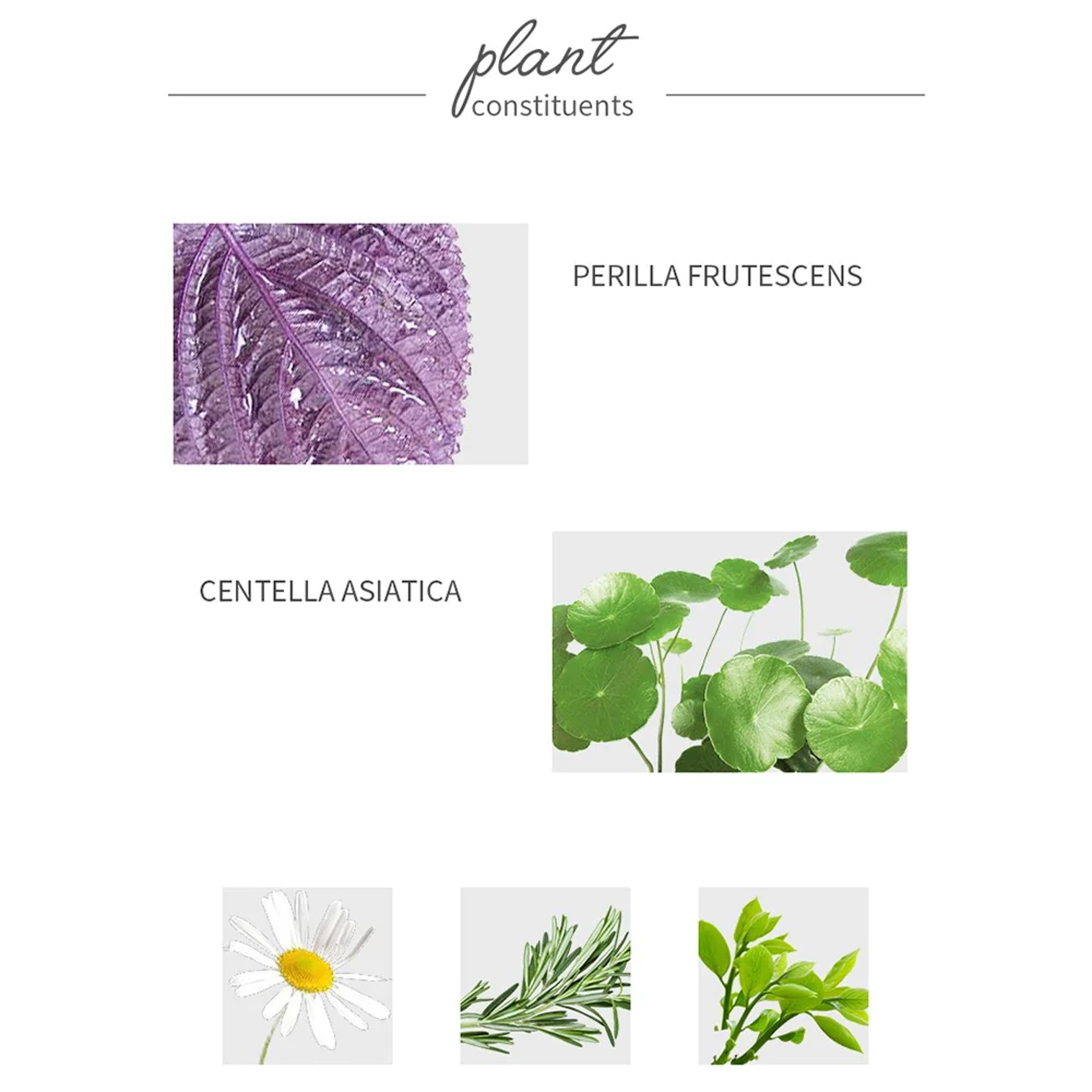 AKF Perilla Facial Cleanser Amino Acid Facial Cleanser 200g คลีนเซอร์ทำความสะอาดผิวหน้าสูตรพิเศษเพื่อผิวหน้าสะอาดล้ำลึกพร้อมการบำรุงจากเกาหลีของแท้