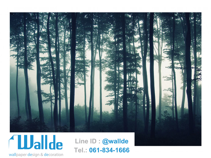 สั่งพิมพ์วอลเปเปอร์ ลายป่าไม้ 0002