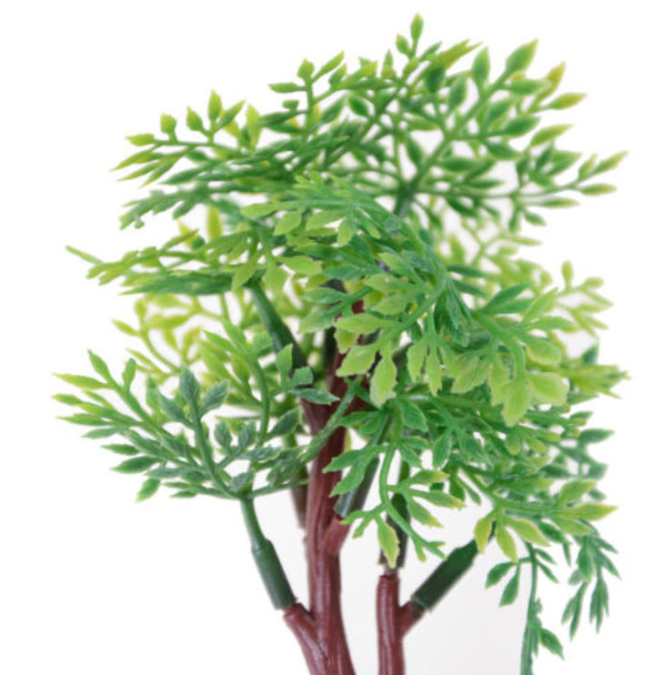 ต้นไม้พุ่ม มีฐานตั้ง สูง 9 ซ.ม. / ต้น