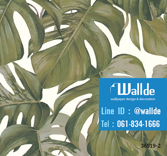 วอลเปเปอร์ลายใบไม้ สไตล์ทรอปปิคอล 0005
