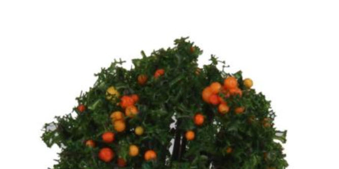 ต้นส้ม สเกล 1:300 สูง 4 ซ.ม. / 10 ต้น