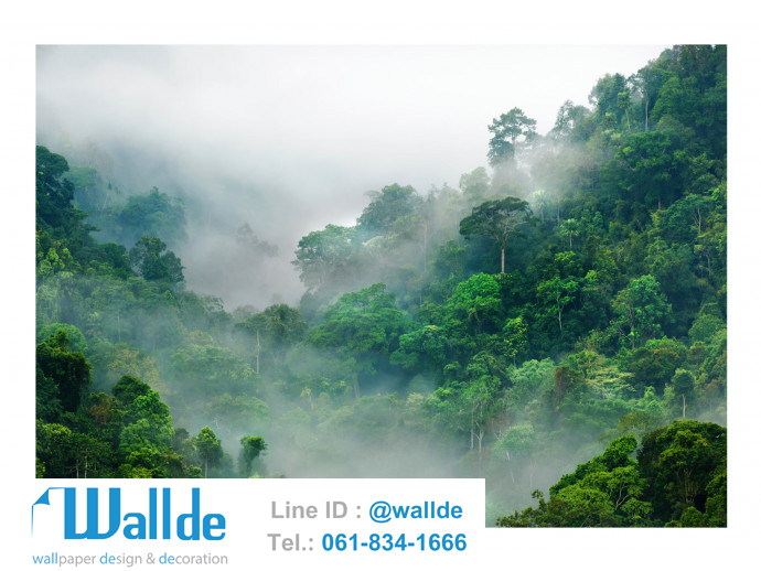 สั่งพิมพ์วอลเปเปอร์ ลายป่าไม้ 0007