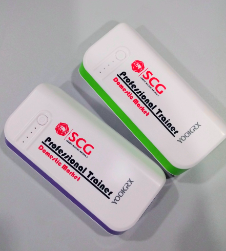 Power Bank 5600mAh SCG