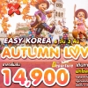 ทัวร์เกาหลี ฤดูใบไม้ร่วง หมู่บ้านอังกฤษ โซลทาวเวอร์ ทงแดมุน พระราชวังชางด๊อกกุง ชุดฮันบก เมียงดง 6 วัน 3 คืน